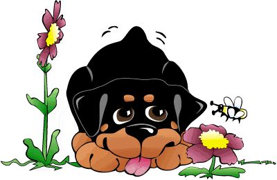 Spring Rottweiler