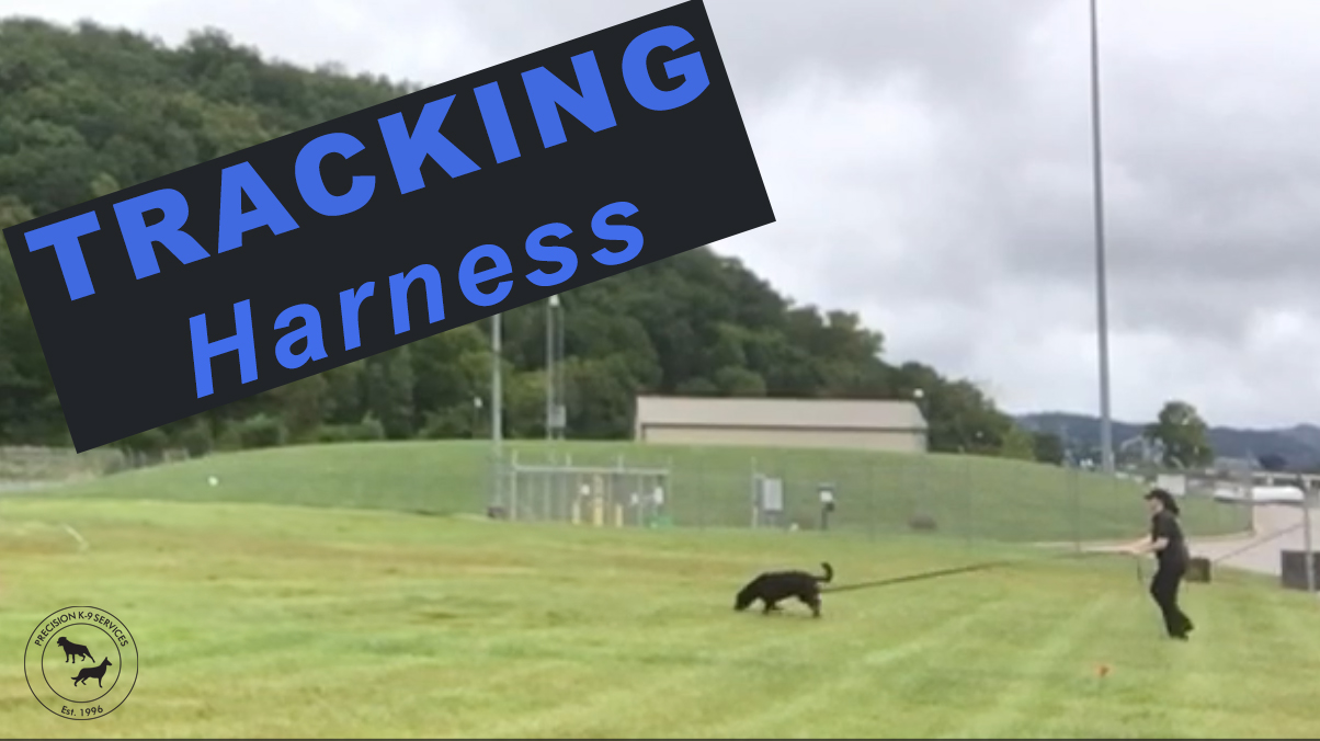 Tracking Harness for your Dog